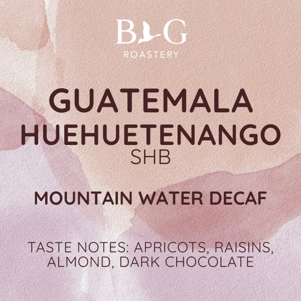 Guatemala - Huehuetenango SHB Mountain Water DECAF