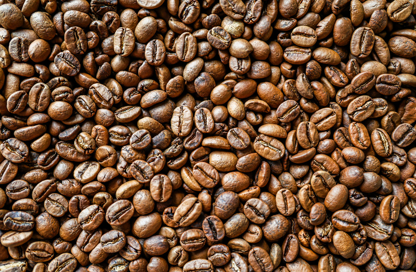 การผสมผสานที่สดใส