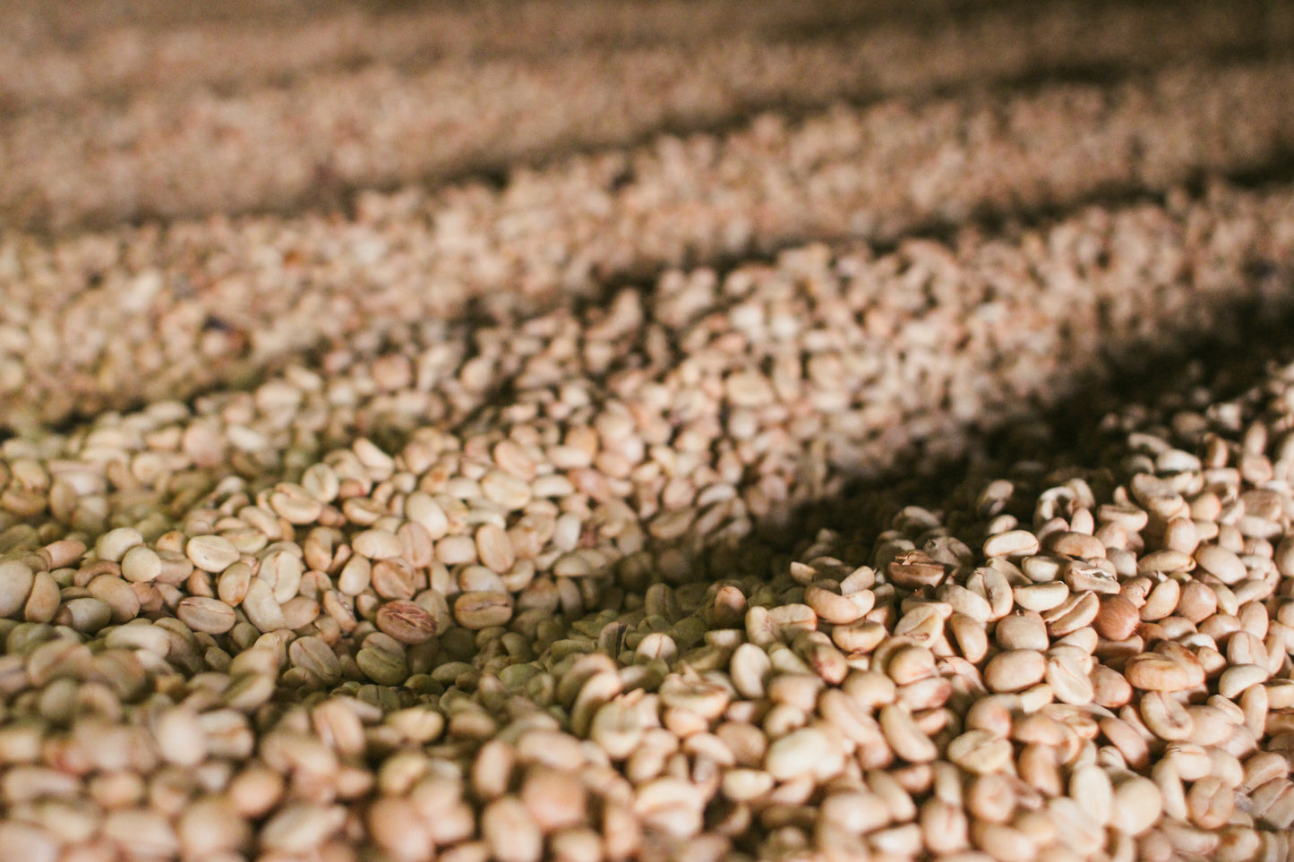 Saenchai Estate, Galyani Vadhana