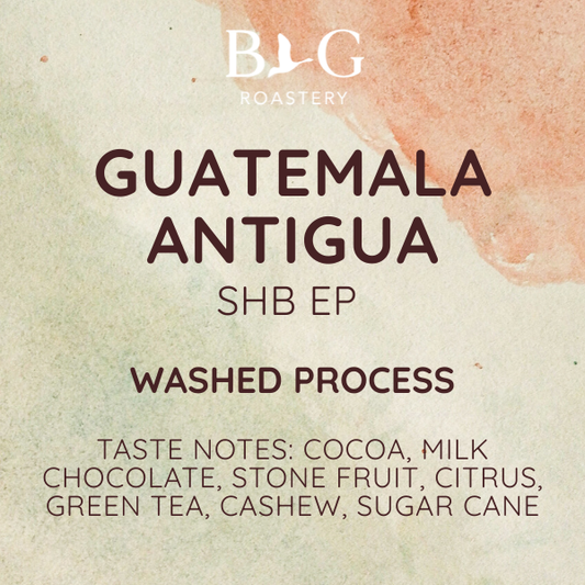 Guatemala Antigua SHB EP