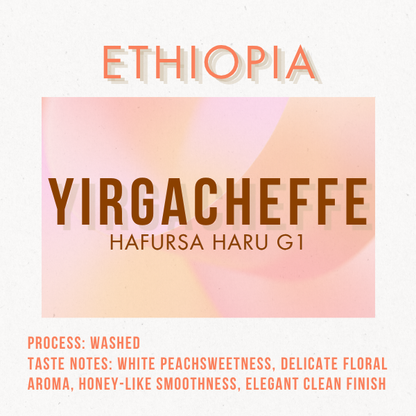 Ethiopia Yirgacheffe Hafursa Haru G1