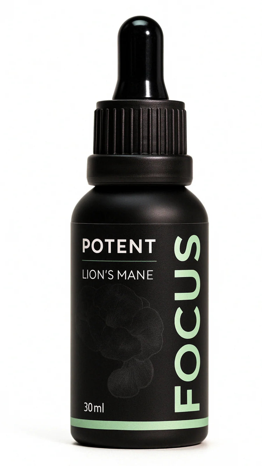 FOCUS Elixir | Lion’s Mane