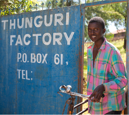 Kenya - Thunguri Nyeri