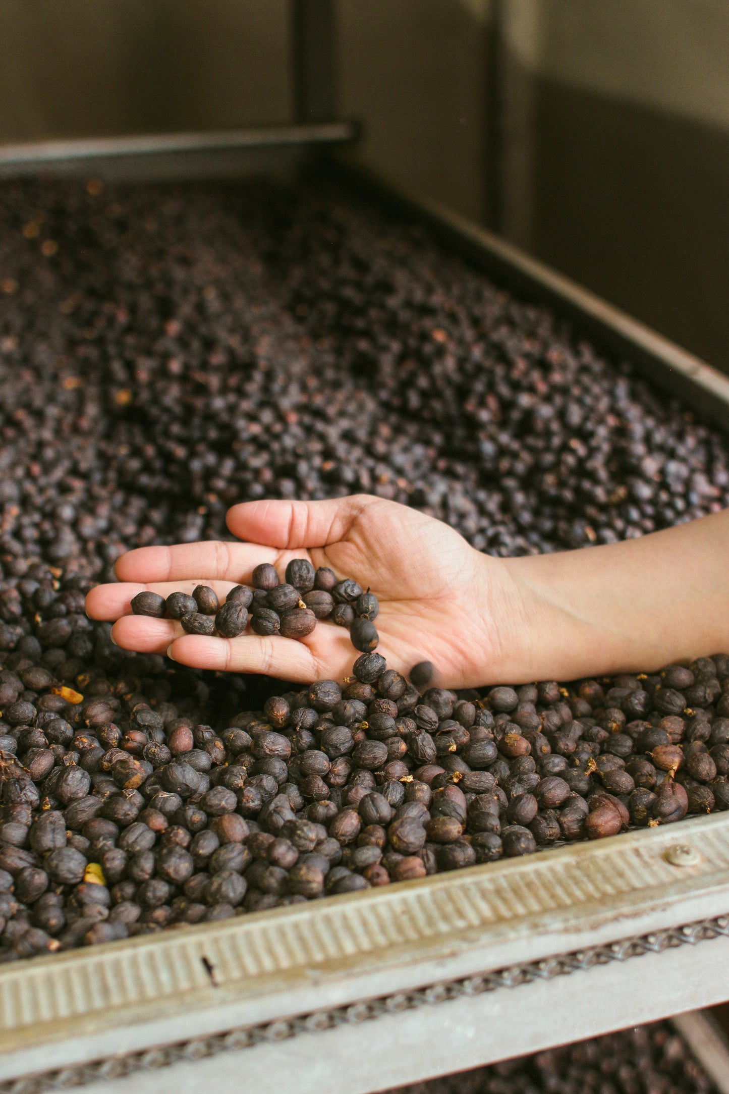 Saenchai Estate, Galyani Vadhana