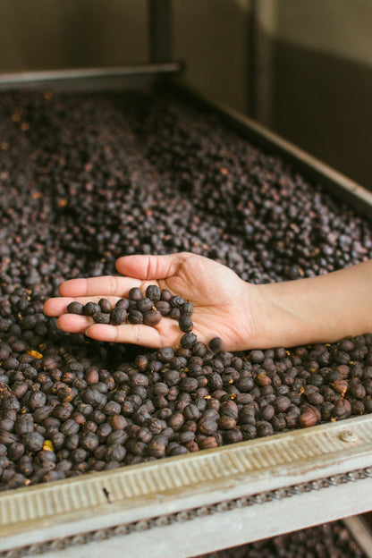 Saenchai Estate, Galyani Vadhana