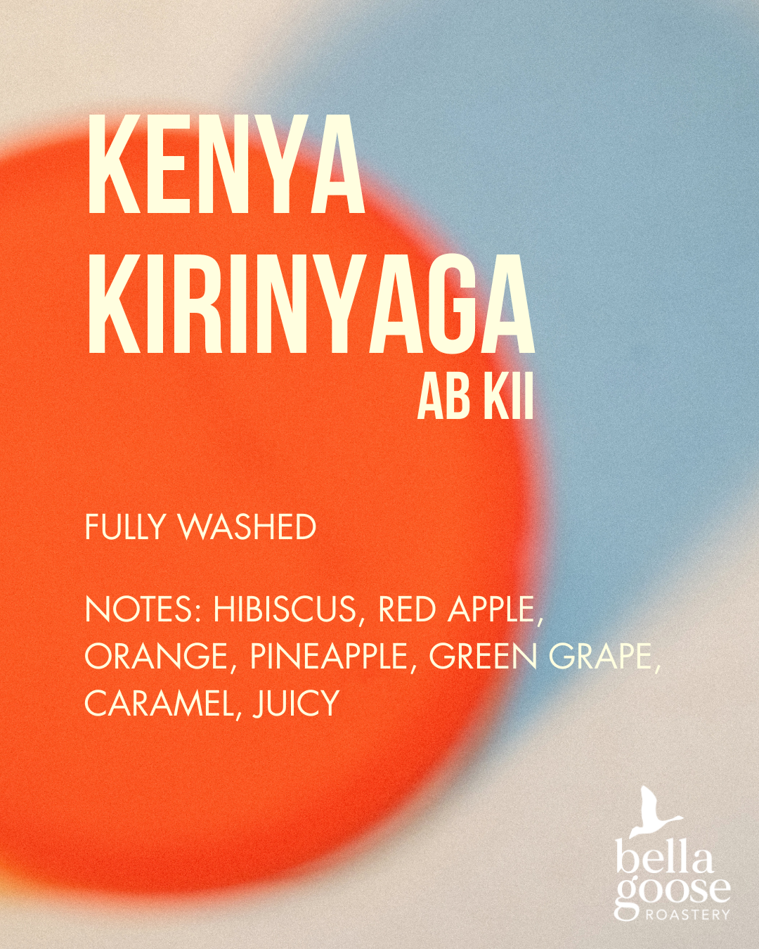Kenya Kirinyaga AB Kii