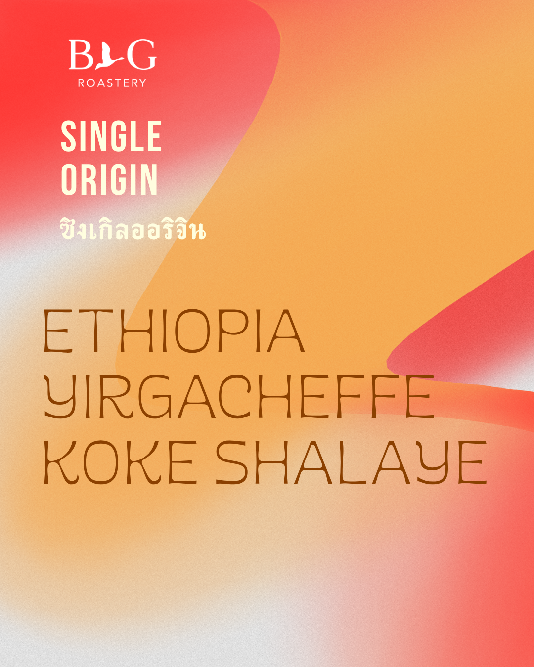 Ethiopia, Koke Shalaye - French Press
