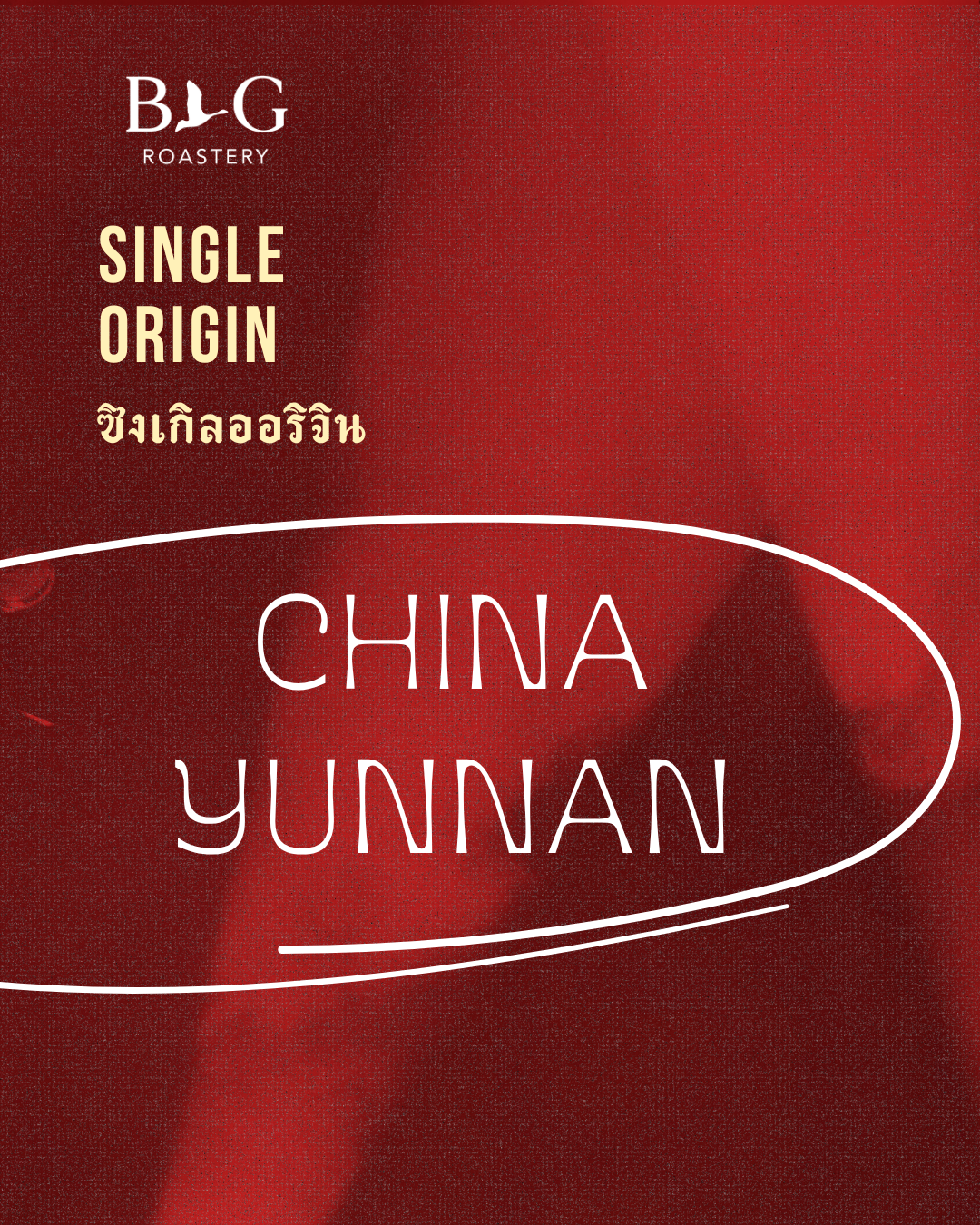 China, Yunnan - French Press