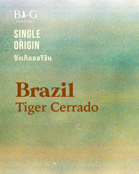 Brazil, Tiger Cerrado