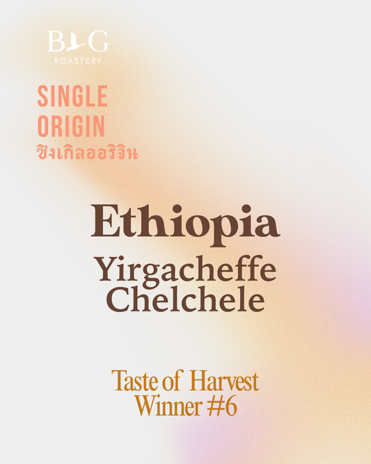 Ethiopia - Yirgacheffe, Chelchele (TOH #6)
